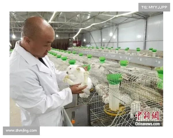 獭兔表态:核心班子留队无惧变化,健康是我们最大的优势(獭兔选秀) 獭兔表态:核心班子留队无惧变化,健康是我们最大的优势(獭兔选秀)