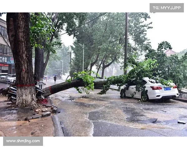 亲历河南暴雨灾难:暴雨来袭,多个地区房屋被雨水淹没(河南暴雨 受灾) 亲历河南暴雨灾难:暴雨来袭,多个地区房屋被雨水淹没(河南暴雨 受灾)